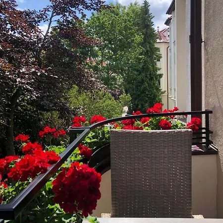 Apartament Vincent *