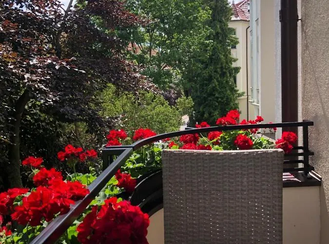 Apartament Vincent *